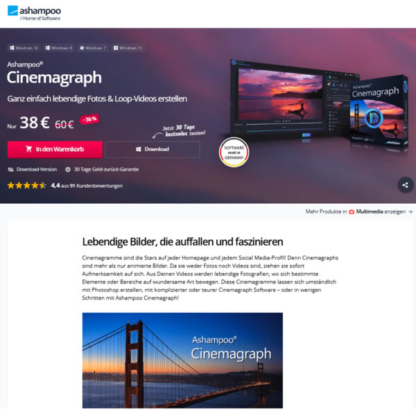 Lebendige Bilder, die auffallen und faszinieren at Asha Mpoo