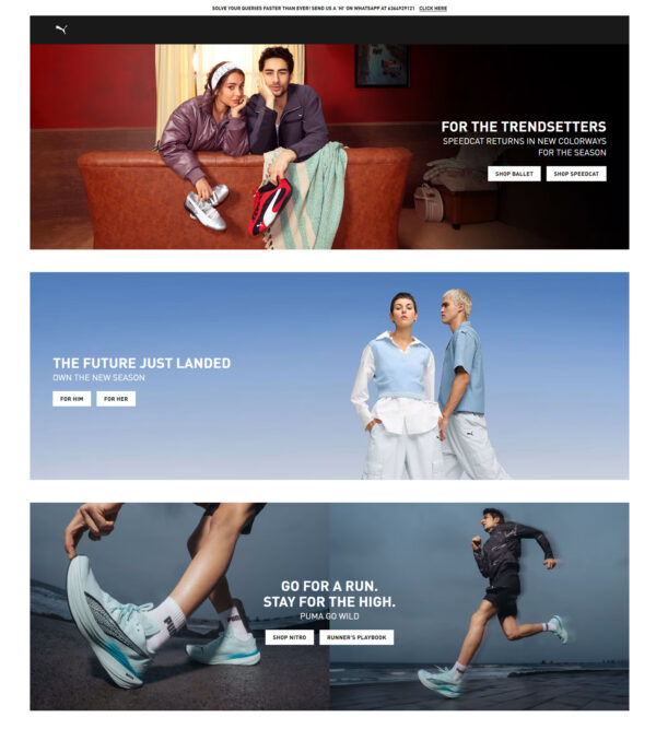 permanent link of Puma