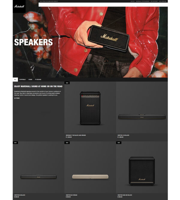 speakers _ Marshal Headphones US