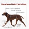 Joint MAX Triple Strength Soft Chews _ Entirely Pets Pharmacy