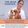 Vetmedin Meds for Dogs _ Entirely Pets Pharmacy