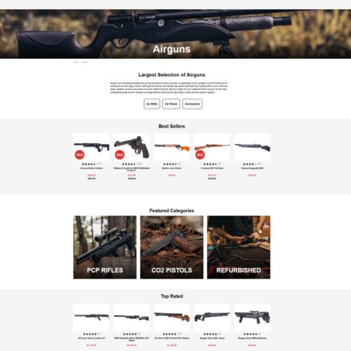 air gun guide _ Pyramyd Air